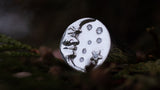 Moon Whisperer, Silver