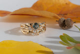 Branch Montana Sapphire Ring, Gold